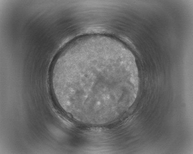 X0000063510439200602172151