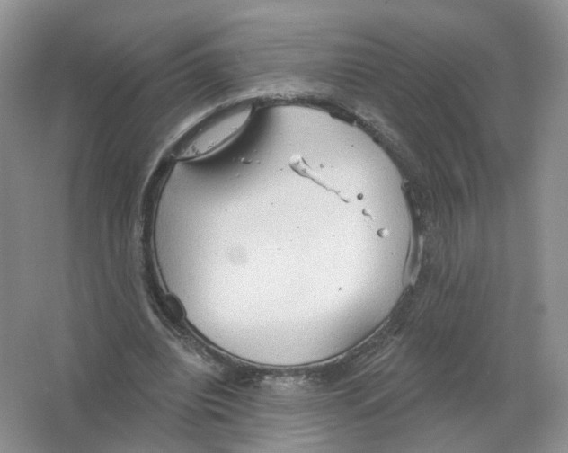 X0000063510440200602172151