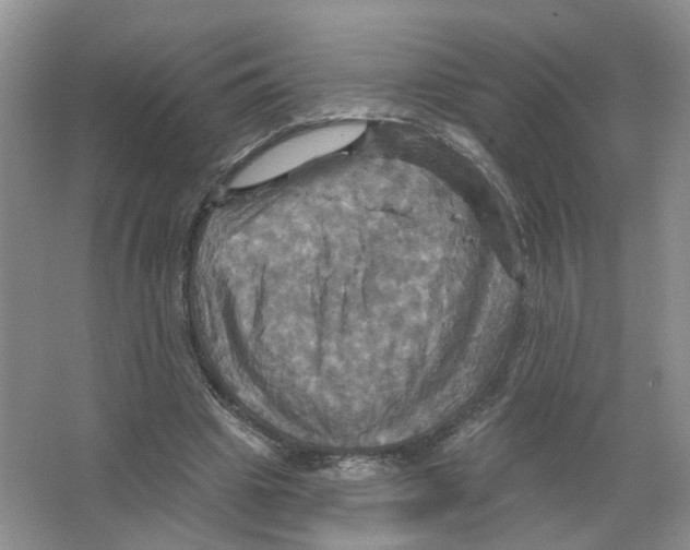 X0000063510441200602172151