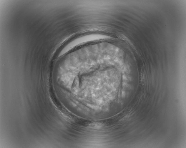 X0000063510444200602172151