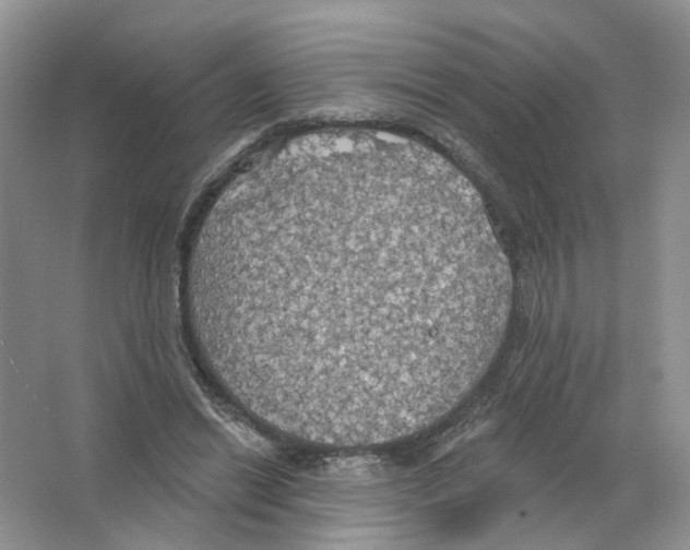 X0000063510446200602172151