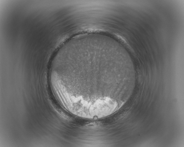 X0000063510447200602172151