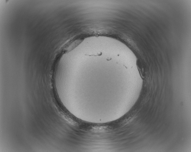 X0000063510450200602172151