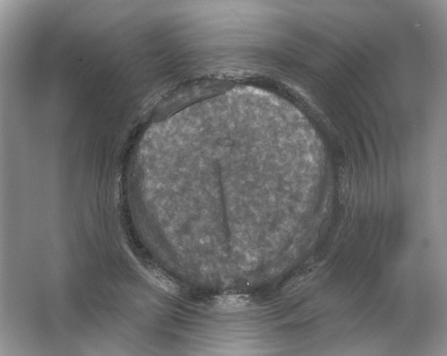 X0000063510451200602172151