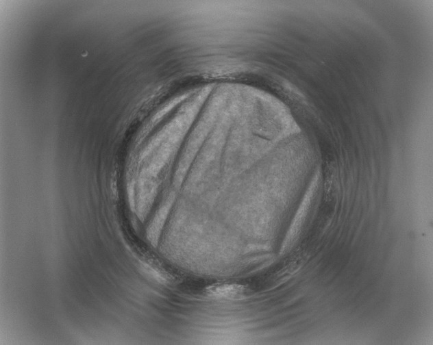 X0000063510452200602172151