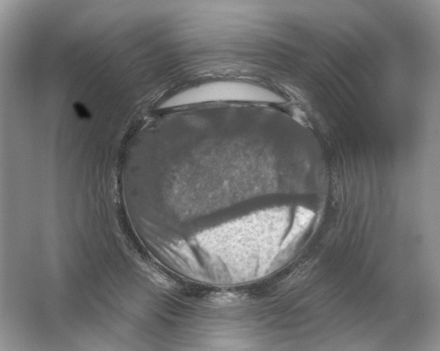 X0000063510453200602172151