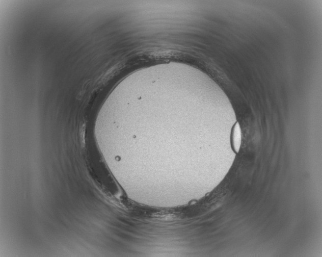 X0000063510454200602172151