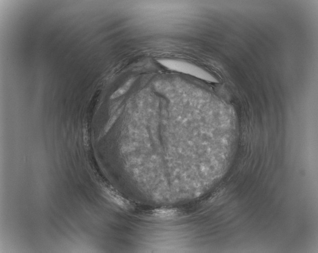 X0000063510457200602172151