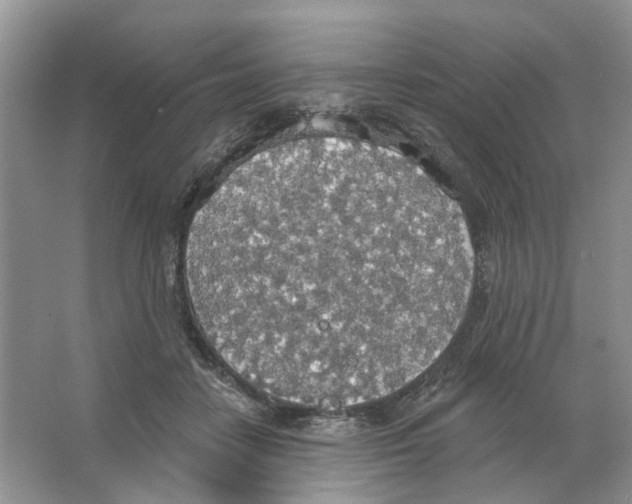 X0000063510458200602172151