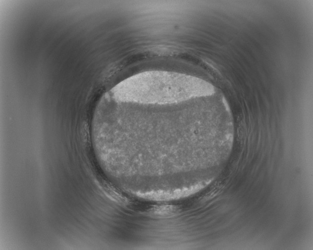 X0000063510459200602172151