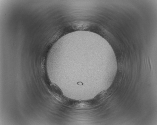 X0000063510460200602172151