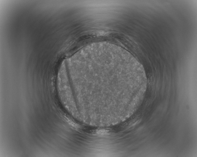 X0000063510462200602172151