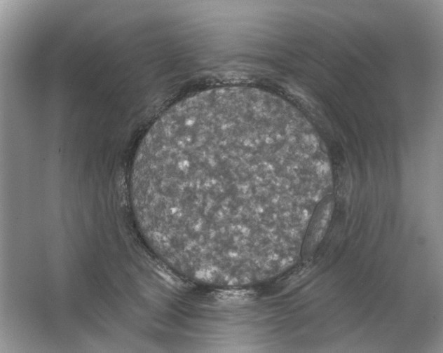 X0000063510465200602172151