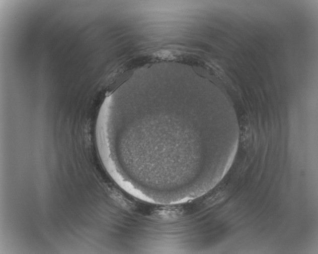 X0000063510466200602172151