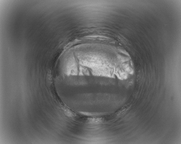 X0000063510469200602172151