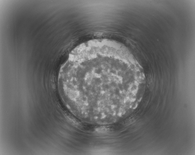 X0000063510470200602172151