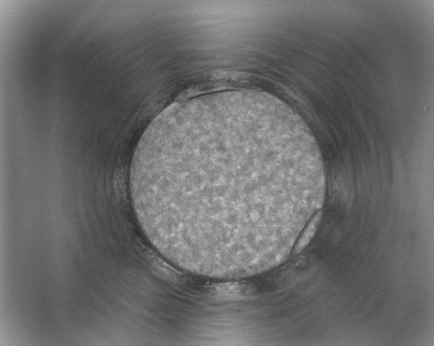 X0000063510473200602172151