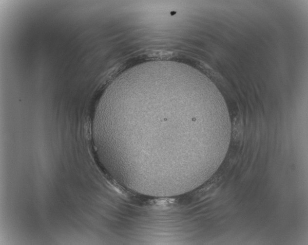 X0000063510474200602172151