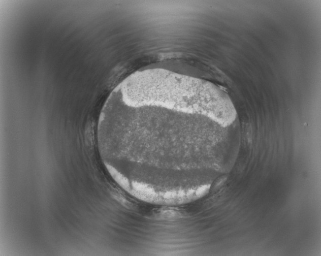 X0000063510475200602172151