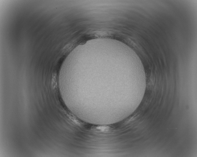 X0000063510478200602172151