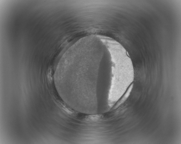 X0000063510479200602172151