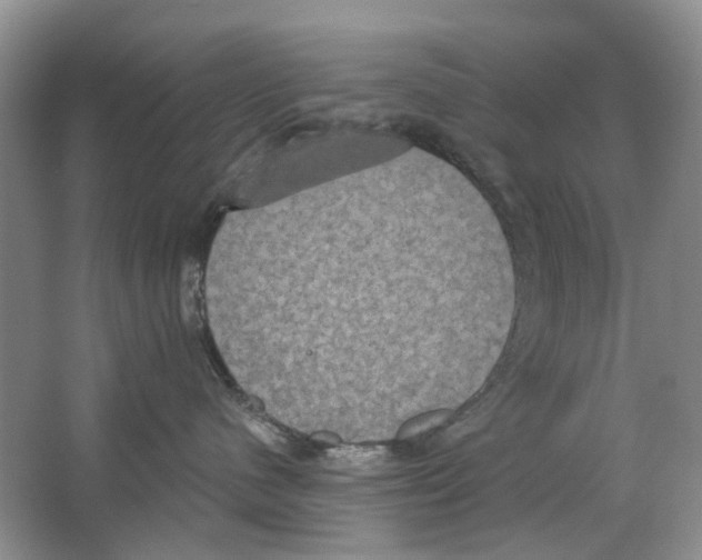 X0000063510480200602172151