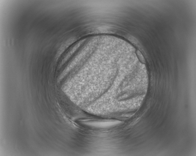 X0000063510481200602172150