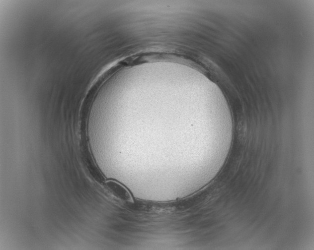 X0000063510484200602172150