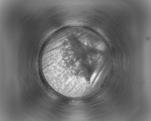 X0000063510487200602172150