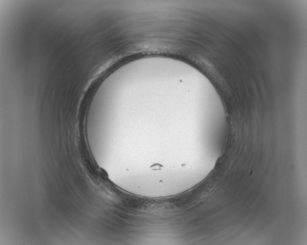 X0000063510488200602172150