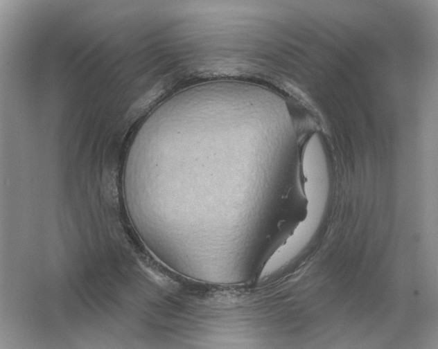 X0000063510489200602172150