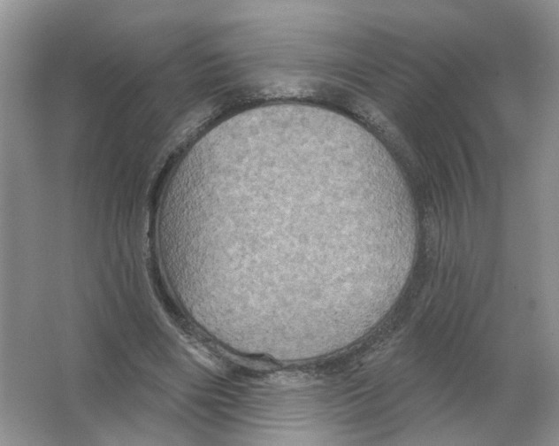 X0000063510490200602172150