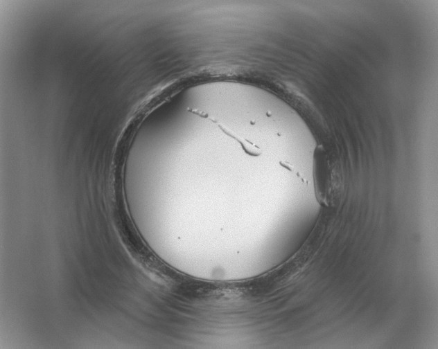 X0000063510492200602172150