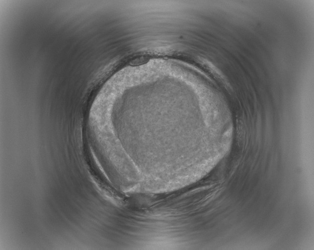 X0000063510493200602172150