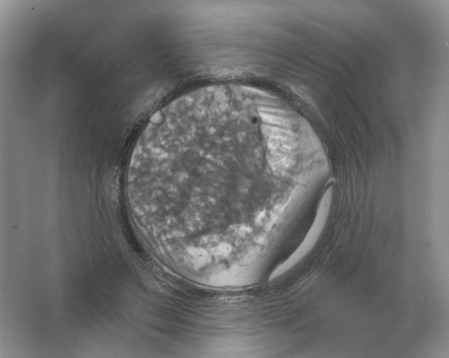 X0000063510495200602172150