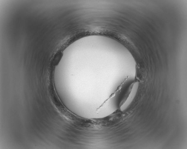 X0000063510496200602172150