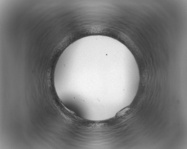 X0000063510497200602172150