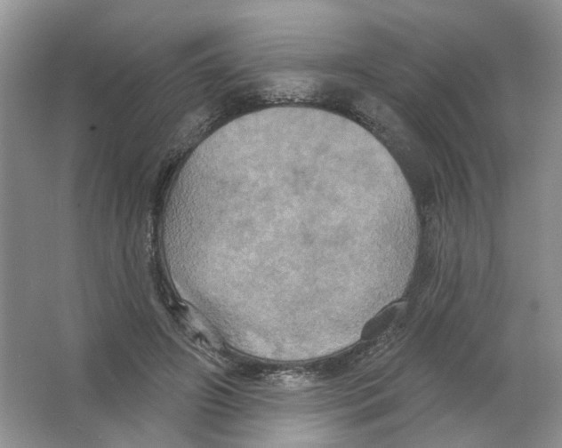 X0000063510498200602172150