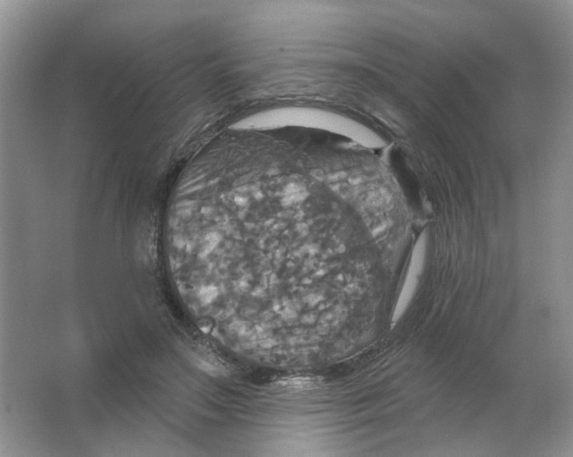 X0000063510499200602172150