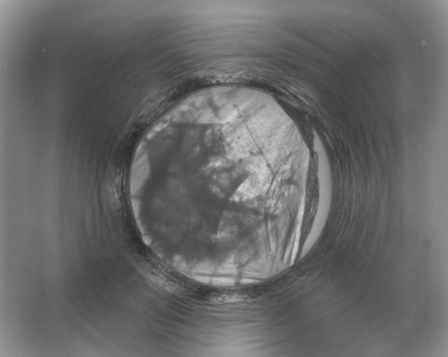 X0000063510503200602172150