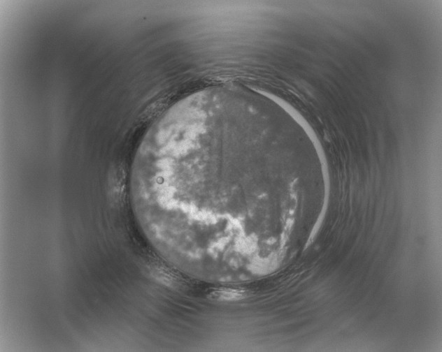 X0000063510507200602172150