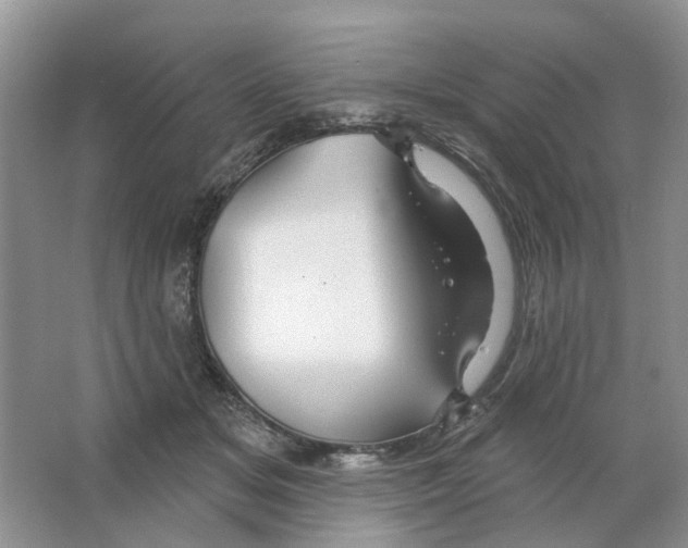 X0000063510509200602172150