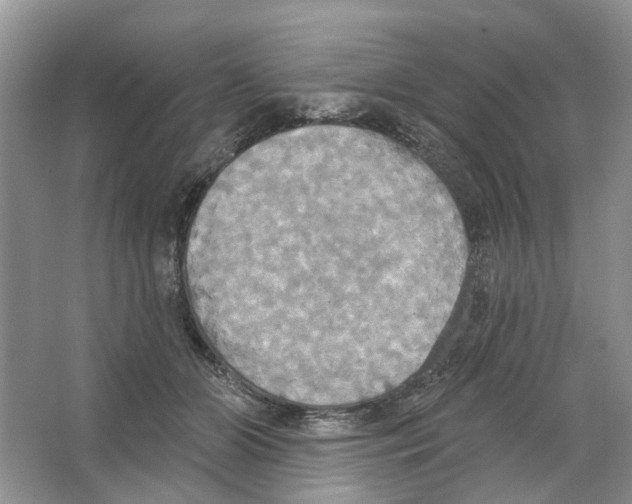 X0000063510510200602172150