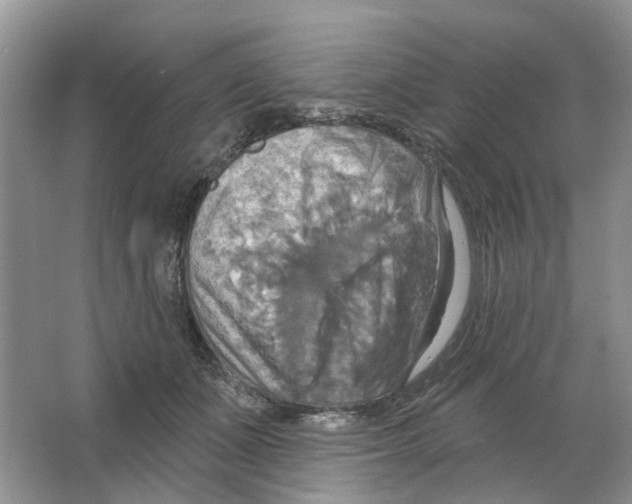 X0000063510511200602172150