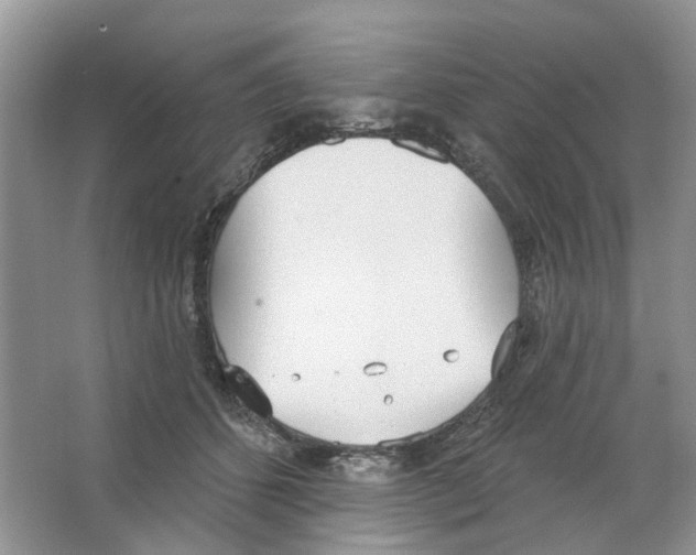 X0000063510512200602172150