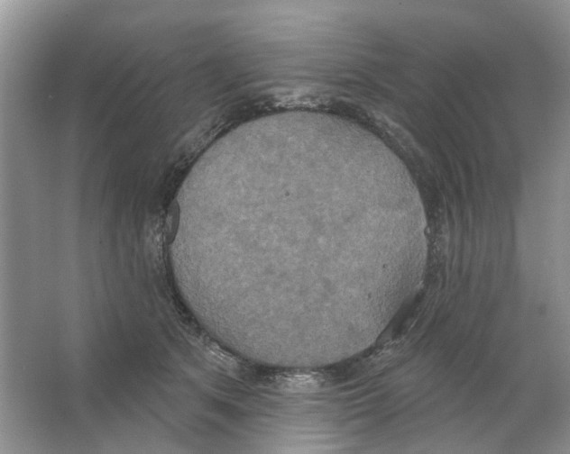 X0000063510513200602172150