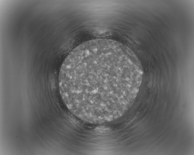 X0000063510515200602172150