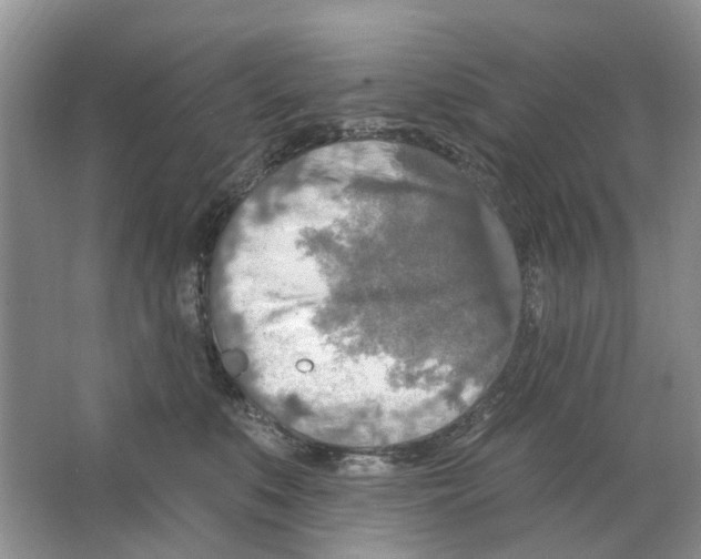 X0000063510519200602172150