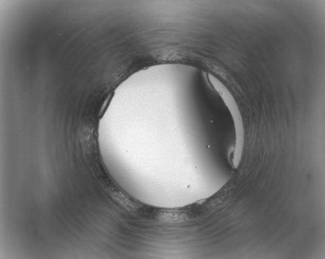 X0000063510521200602172150