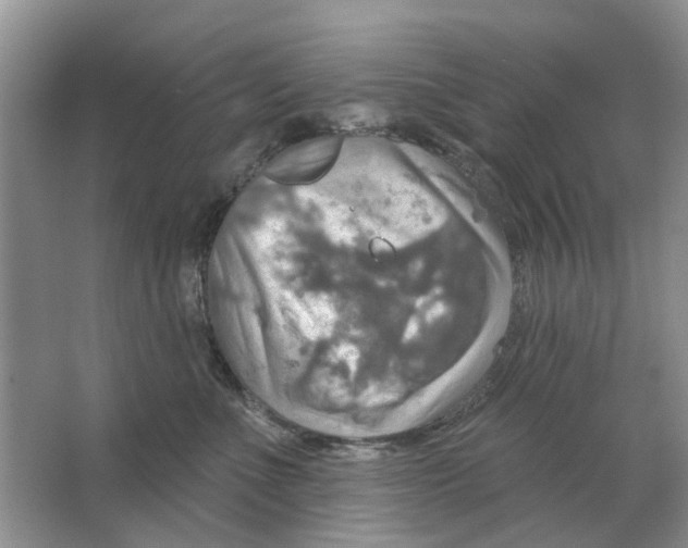 X0000063510523200602172150